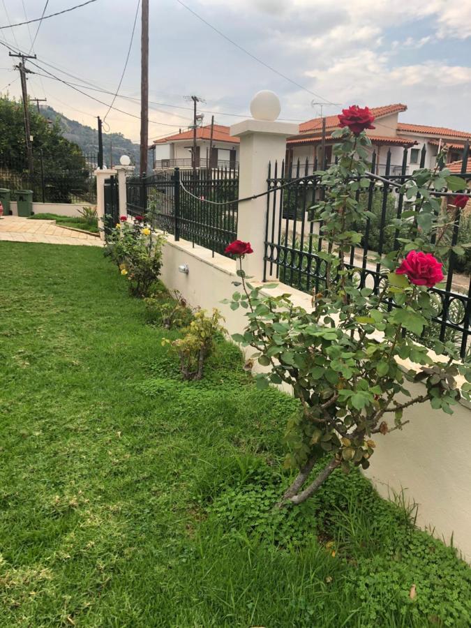Paralia Platanou Seaview House Bagian luar foto